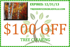 Tree Service Coupons Noblesville IN