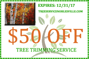 Tree Service Noblesville 317-537-9770