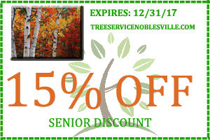 Tree Service Noblesville 317-537-9770